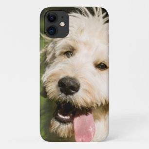 Funda Para iPhone 11 Goldendoodle