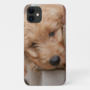 Funda Para iPhone 11 Goldendoodle cachorro picado