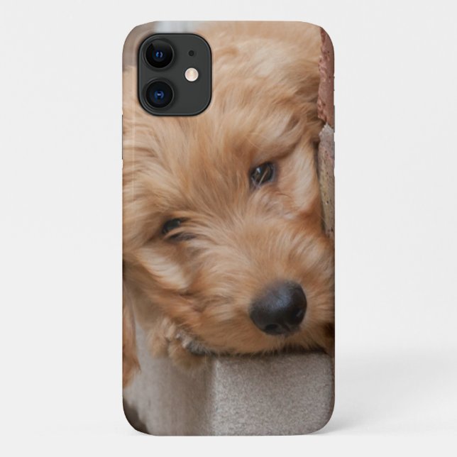 Funda De Case-Mate Para iPhone Goldendoodle cachorro picado (Reverso)