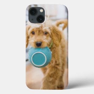 Funda Para iPhone 13 Goldendoodle Carrying Dinner Bowl