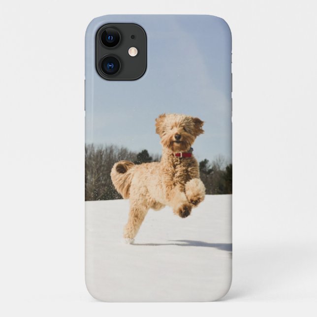Funda De Case-Mate Para iPhone Goldendoodle corriendo por campo (Reverso)