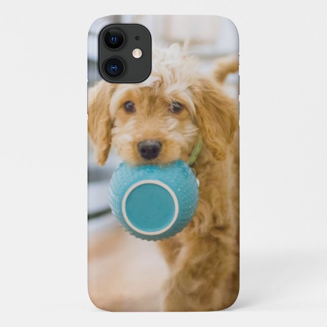 Funda De Case-Mate Para iPhone Goldendoodle lleva el tazón de la cena (Reverso)