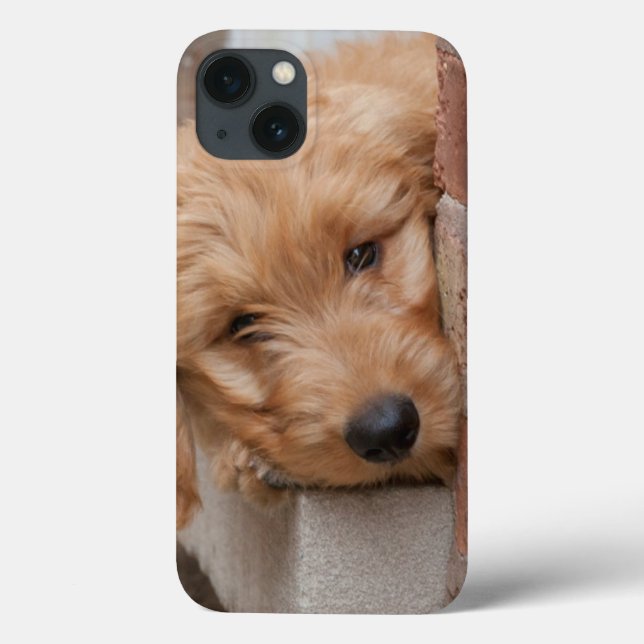 Funda De Case-Mate Para iPhone Goldendoodle Puppy Peeking (Reverso)