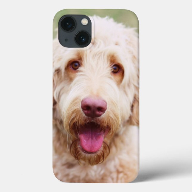 Funda De Case-Mate Para iPhone Goldendoodle Smiling (Reverso)