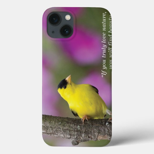 Funda De Case-Mate Para iPhone Goldfinch (Reverso)
