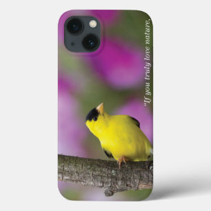 title_seo2 Goldfinch