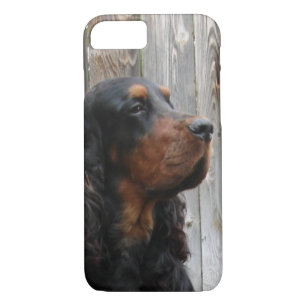 title_seo2 Gordon Setter
