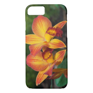 Funda Para iPhone 8/7 Gorgoso Naranja Rhyncattleanthe Amarillo Orquídea
