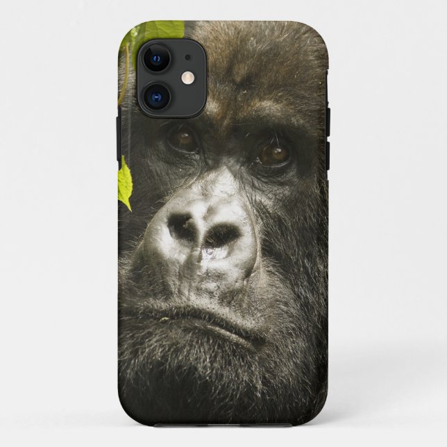 Funda De Case-Mate Para iPhone Gorila de montaña, Gorilla beringei beringei, (Reverso)