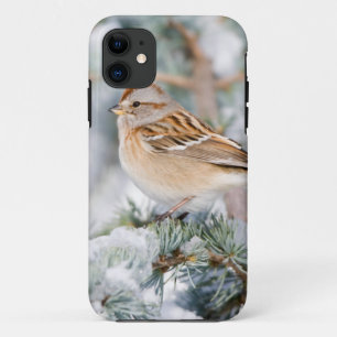 Funda Para iPhone 11 Gorrión de árbol americano en invierno