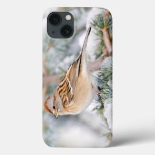 Funda Para iPhone 13 Gorrión de árbol americano en invierno