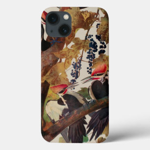 Funda Para iPhone 13 Grabado de ave Carpintero Pileado de John James Au