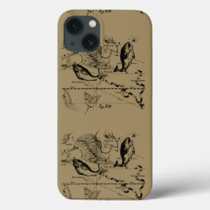 Funda Para iPhone 13 Grabado De Constelación Pisces Hevelius 1690