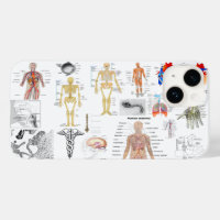 Gráfico médico de anatomía humana