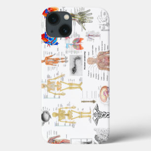 Funda Para iPhone 13 Gráficos de anatomía humana