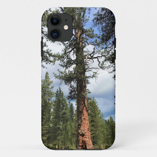 Funda De Case-Mate Para iPhone Gran Árbol Rojo, La Pine, O (Reverso)