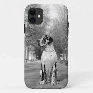 Funda Para iPhone 11 Gran caso de fotografía personal de Danois