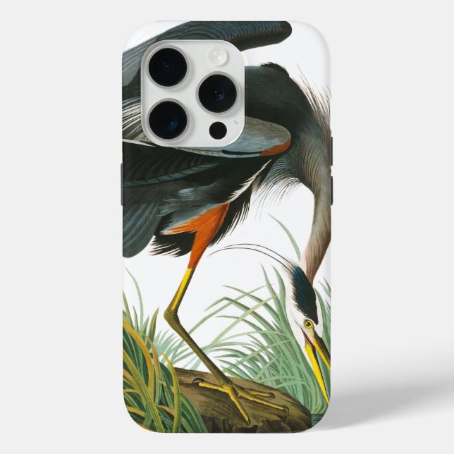 Funda De Case-Mate Para iPhone Gran garza azul de John James Audubon (Reverso )