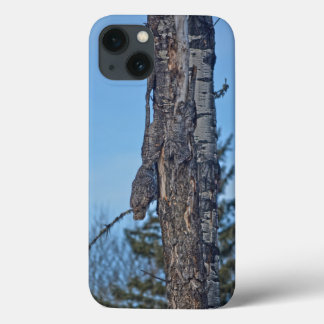 Funda Para iPhone 13 Gran lechuza gris camuflada y foto de vida silvest