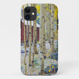 Funda Para iPhone 11 Gran Mesa Cabaña solitaria en un bosque