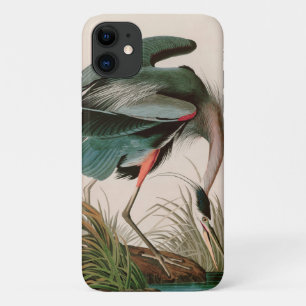 Funda Para iPhone 11 Grandes aves de garza azul de América Impresión 