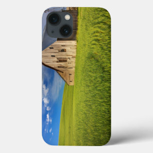 Funda Para iPhone 13 Granero Antiguo en Campo de Trigo de Primavera