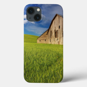 Funda Para iPhone 13 Granero antiguo en campo de trigo de primavera
