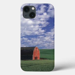Funda Para iPhone 13 Granero rojo en campo de trigo y cebada en Whitman