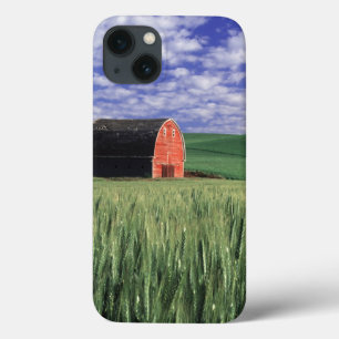 Funda Para iPhone 13 Granero rojo en campo de trigo y cebada en Whitman
