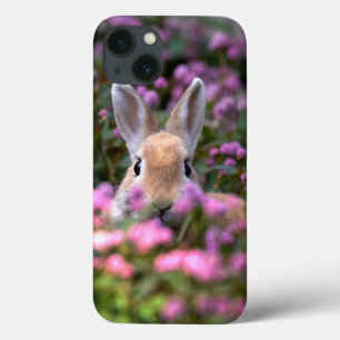 Funda Para iPhone 13 Granja de conejo