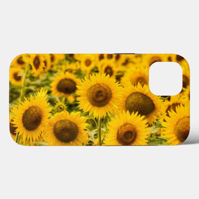 Funda De Case-Mate Para iPhone Granjas | Un Campo De Girasol (Reverso (Horizontal))