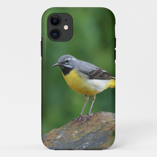 Funda De Case-Mate Para iPhone Gray Wagtail - pájaro (Reverso)
