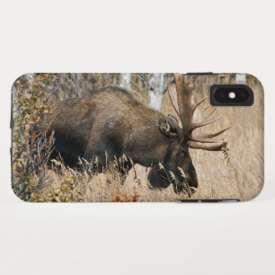 Funda Para iPhone XS Max Grazing Bull Moose