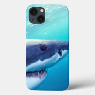 Funda Para iPhone 13 Great White Shark   South Africa