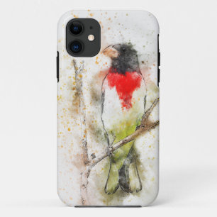 Funda Para iPhone 11 Grosbeak con pecho Rosa (Pheucticus ludovicianus)