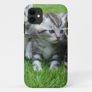 Funda Para iPhone 11 Grupo de adorables gatitos.