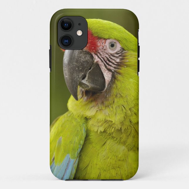 Funda De Case-Mate Para iPhone Guacamayo Militar (Reverso)