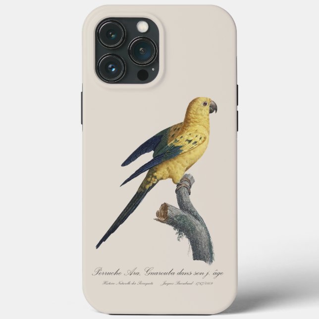 Funda De Case-Mate Para iPhone Guarouba dans hijos jeune age / Sun parakeet (Reverso )