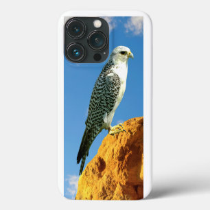 Funda Para iPhone 13 Pro Gyrfalcon colgado en una caja de teléfonos de rock