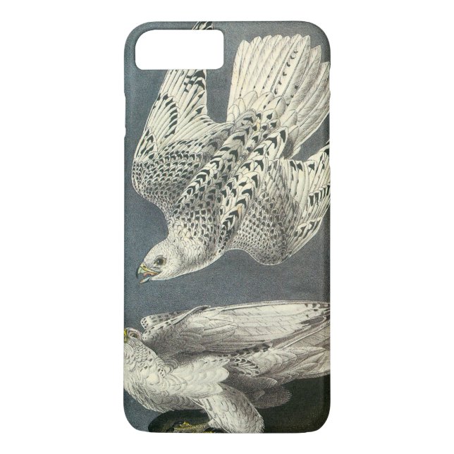 Funda De Case-Mate Para iPhone Gyrfalcon por Audubon (Reverso)
