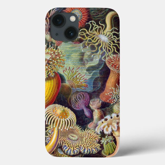 Funda De Case-Mate Para iPhone Haeckel Actiniae (Reverso)