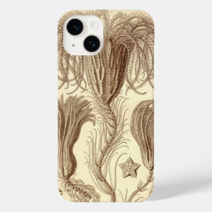 title_seo2 Haeckel Vintage