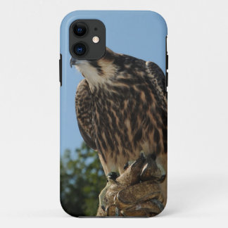 Funda Para iPhone 11 Halcón de peregrino