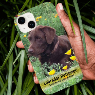 title_seo2 Handsome Chocolate Lab in Poppy Patch