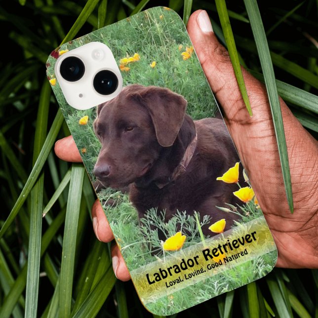 Funda De Case-Mate Para iPhone Handsome Chocolate Lab in Poppy Patch (Subido por el creador)