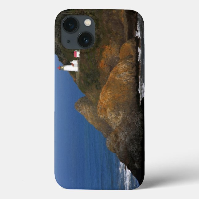 Funda De Case-Mate Para iPhone Heceta Head Lighthouse, Cape Creek, Oregon, USA (Reverso)