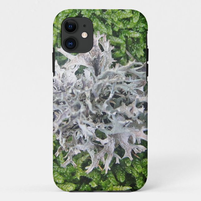 Funda De Case-Mate Para iPhone Hellgraue Flechte auf hübschem Moos (Reverso)