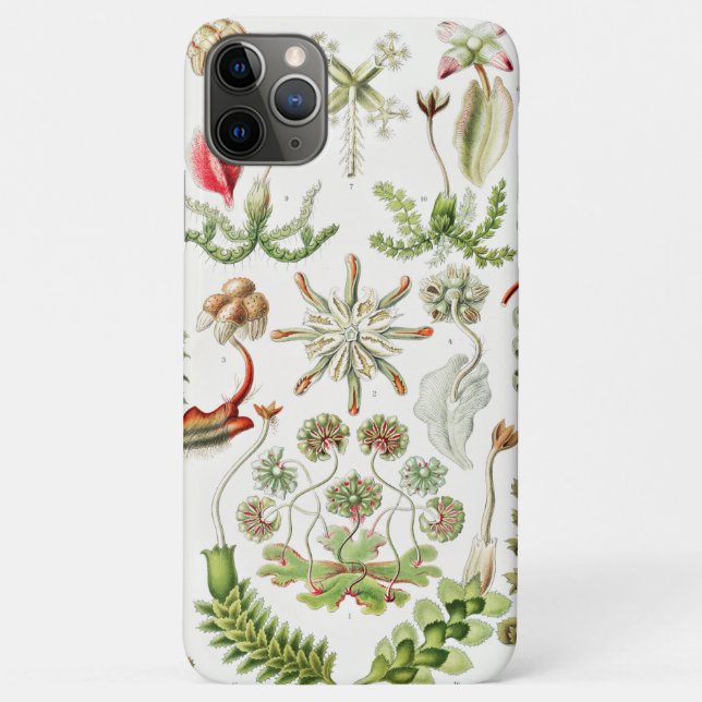 Funda De Case-Mate Para iPhone Hepaticae Lebermoose por Ernst Haeckel (Reverso)