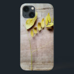 title_seo2 Herbario V<br><div class="desc">Floral</div>