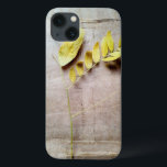 title_seo2 Herbario V<br><div class="desc">Floral</div>